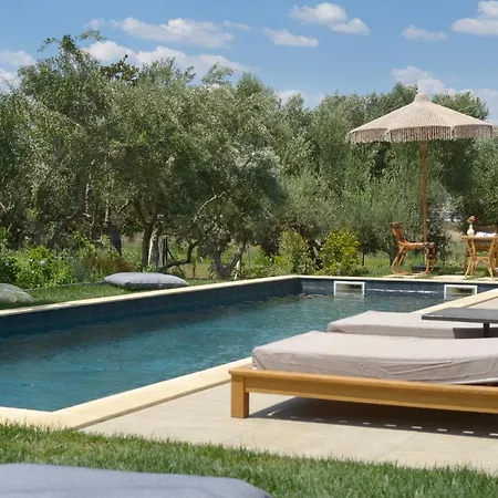 Villa Elaia Grove *