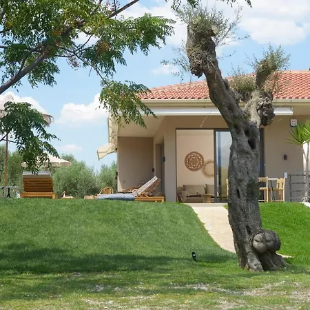 Elaia Grove Kalamáta